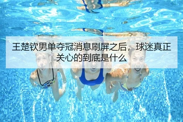 王楚钦男单夺冠消息刷屏之后，球迷真正关心的到底是什么